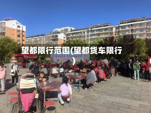 望都限行范围(望都货车限行)