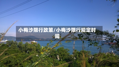 小梅沙限行政策/小梅沙限行规定时间-第3张图片