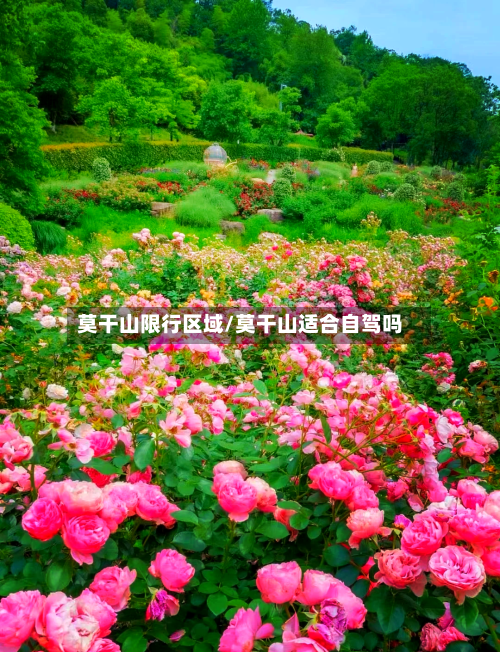 莫干山限行区域/莫干山适合自驾吗