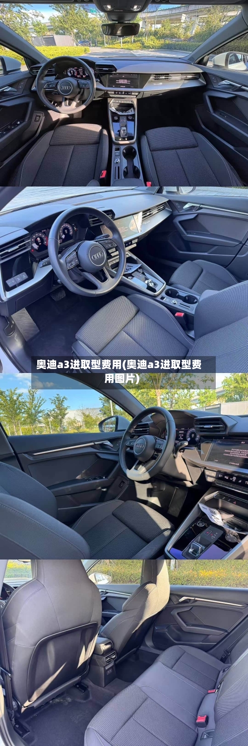 奥迪a3进取型费用(奥迪a3进取型费用图片)